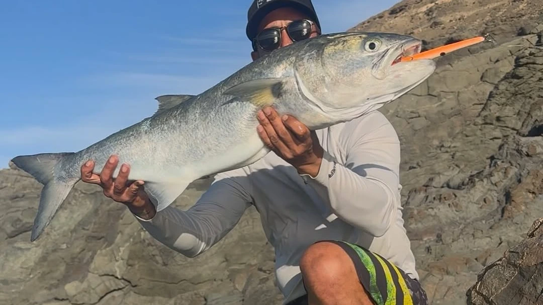 topwater