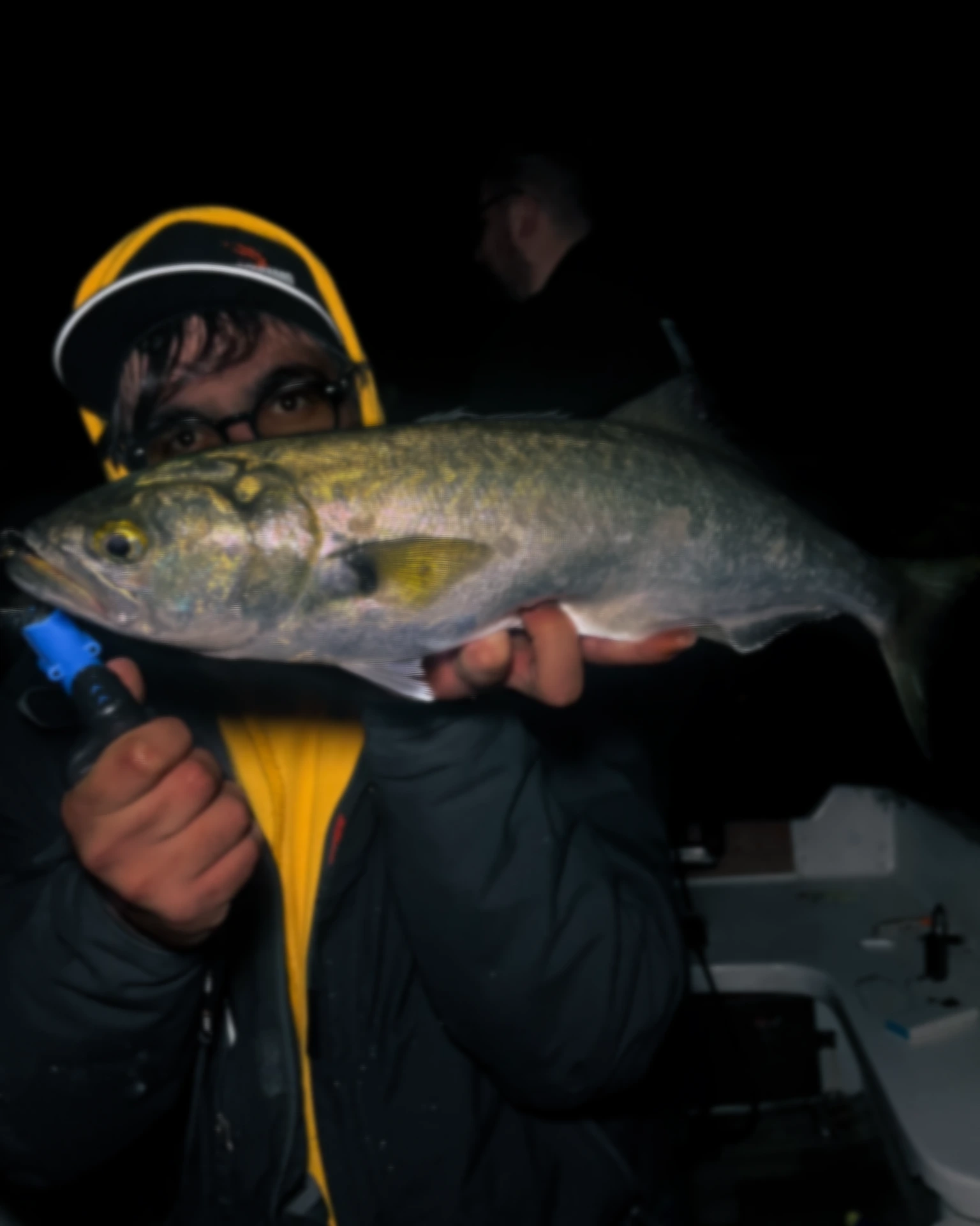 Pesce serra