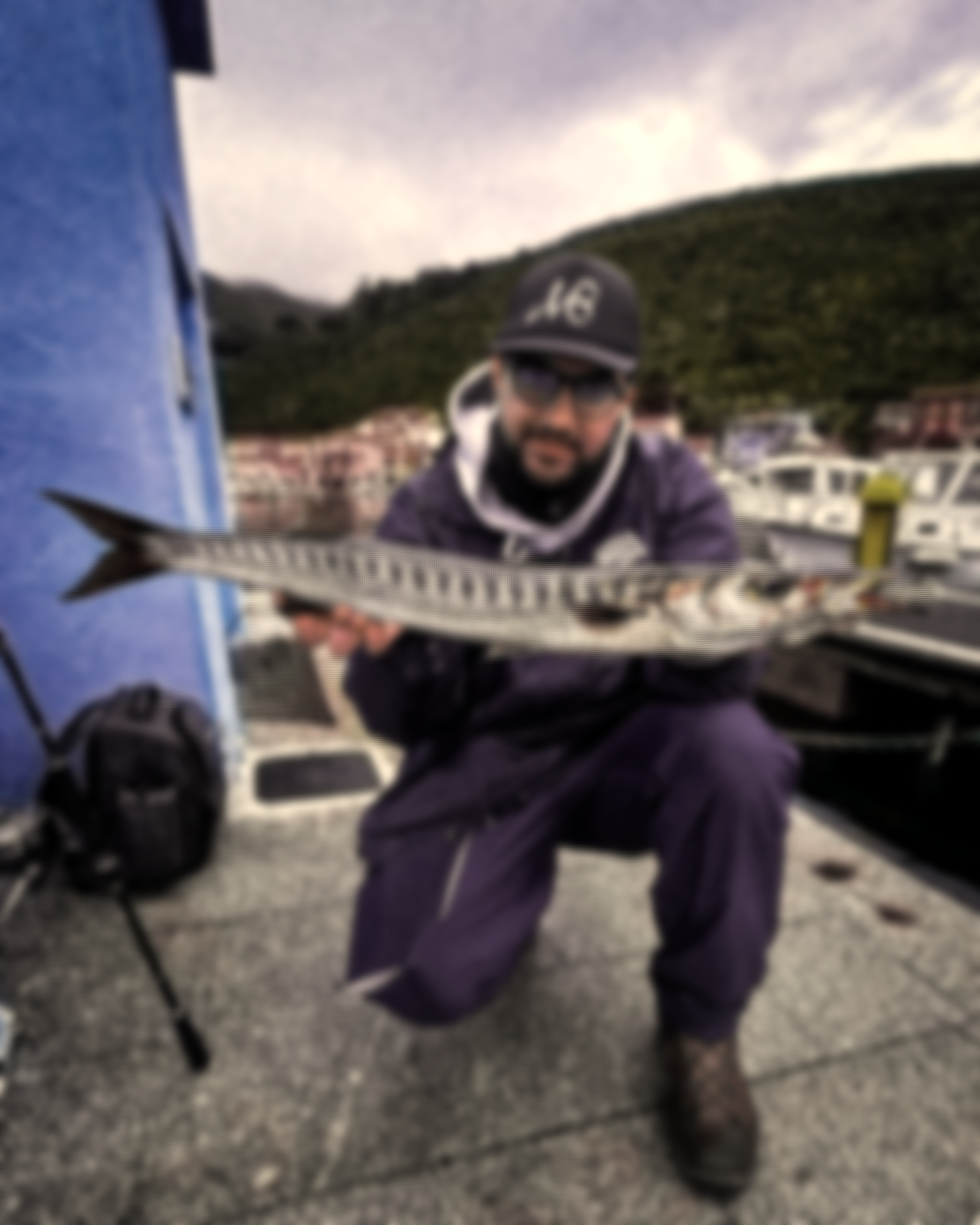Barracuda