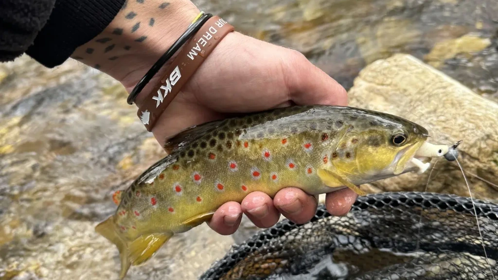 Torrente di montagna per pesca alla trota a spinning ultraleggero