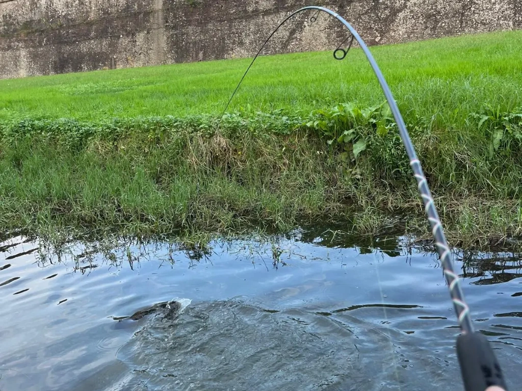 canna in piega con pesce preso a lightgame in canale