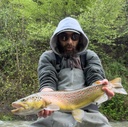 Trote in microtorrente