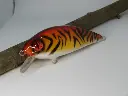 crazycrank90_tiger1-riccardo-bresolin-high.webp
