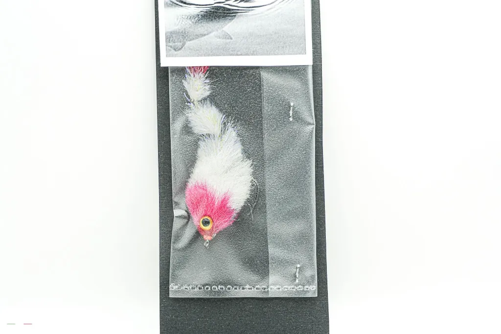 swimmer articulated-2.webp