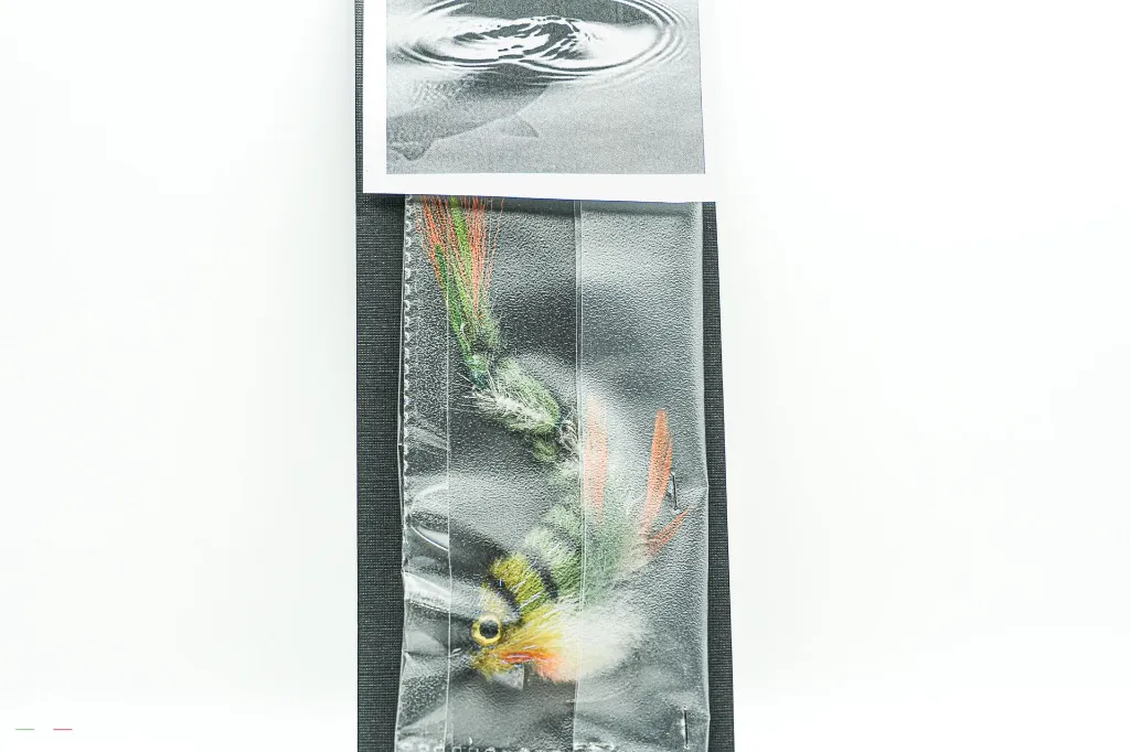 swimmer articulated.webp