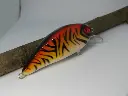 crazycrank90tiger3-riccardo-bresolin-high.webp