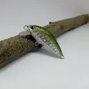 crazyjerk45_agbaitfish-high.webp
