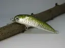 crazyjerk65_agbaitfish-riccardo-bresolin-high-jw1uhf.webp