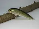 crazyjerk65_baitfish-riccardo-bresolin-high-x9fdbz.webp