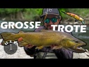 youtube - [Video]