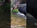 youtube - [Video]
