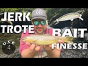 youtube - [Video]