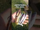youtube - [Video]