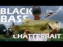 youtube - [Video]