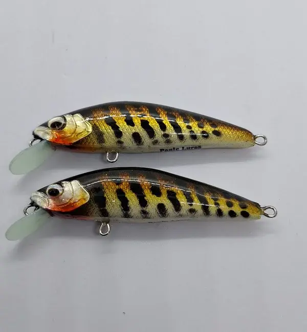 20240716_180512-panic-lures-high.webp