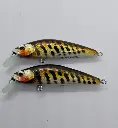 20240716_180512-panic-lures-high.webp