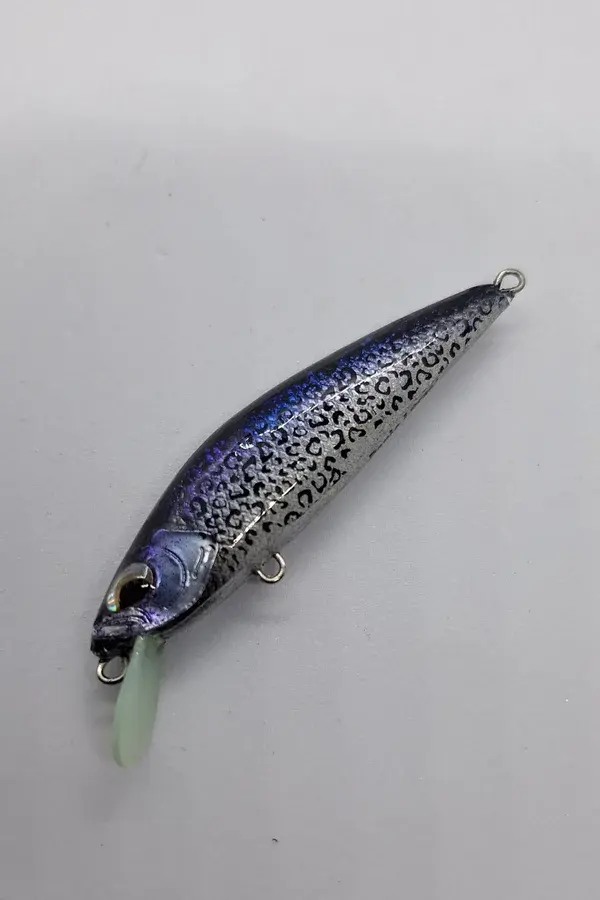 20240716_180428-panic-lures-high.webp