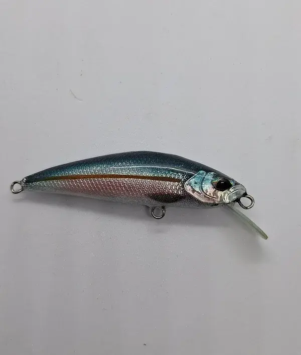 20240716_180345-panic-lures-high.webp