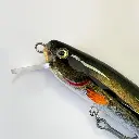 kintaminnow-90s-_-vairone2-high.webp