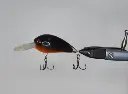 miziocrank55-darkorange-fishing-senpai-high.webp