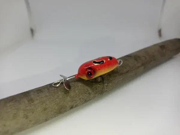 microprop_redfrog-high.webp
