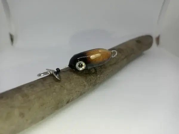 microprop_brownbeetle-high.webp
