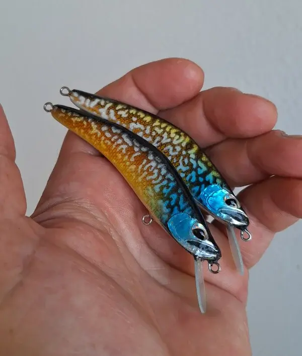 20240715_202606-panic-lures-high.webp