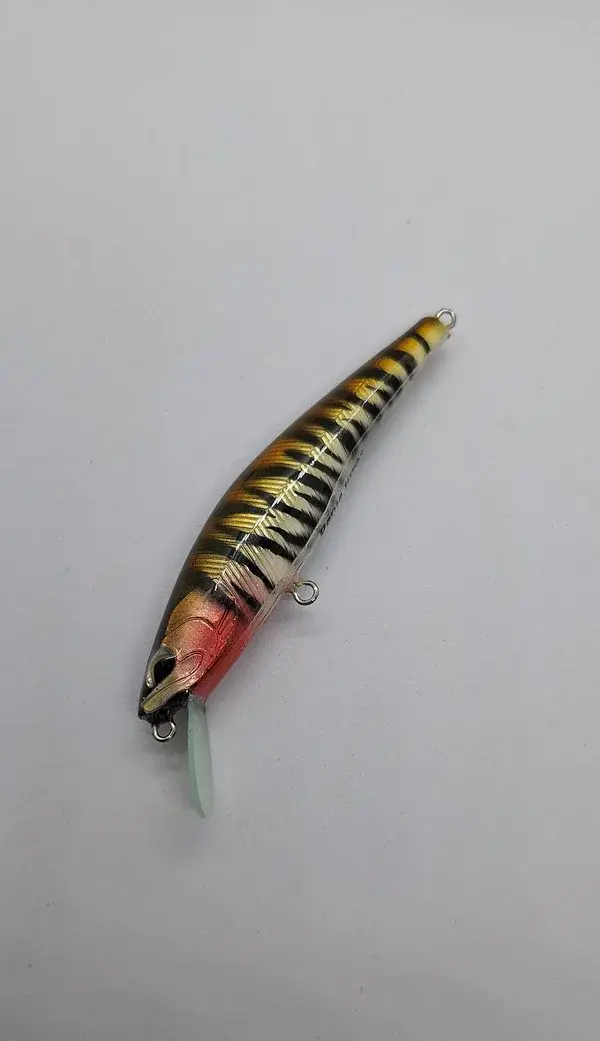20240716_175436-panic-lures-high.webp