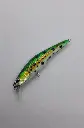 20240716_175444-panic-lures-high.webp