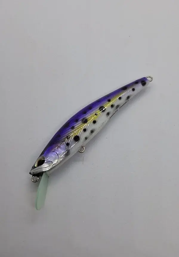 20240716_175453-panic-lures-high.webp