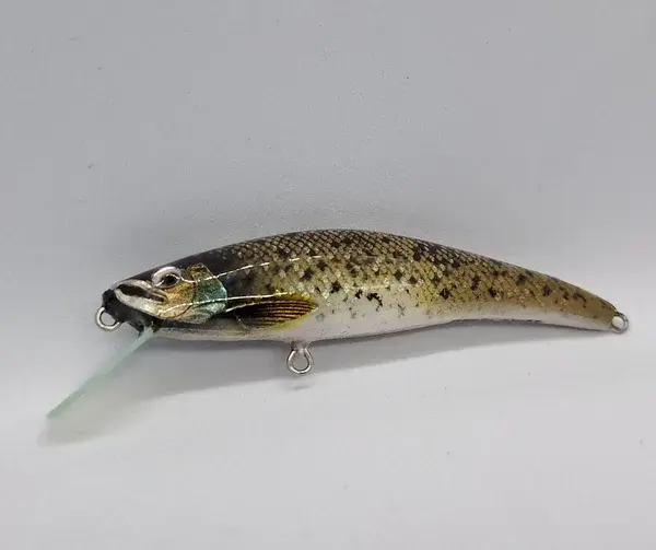 20240716_175609-panic-lures-high.webp