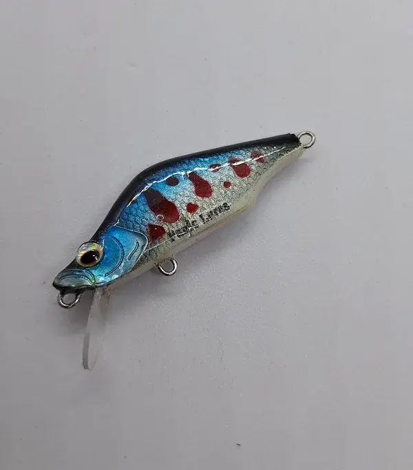 20240716_180805-panic-lures-high.webp