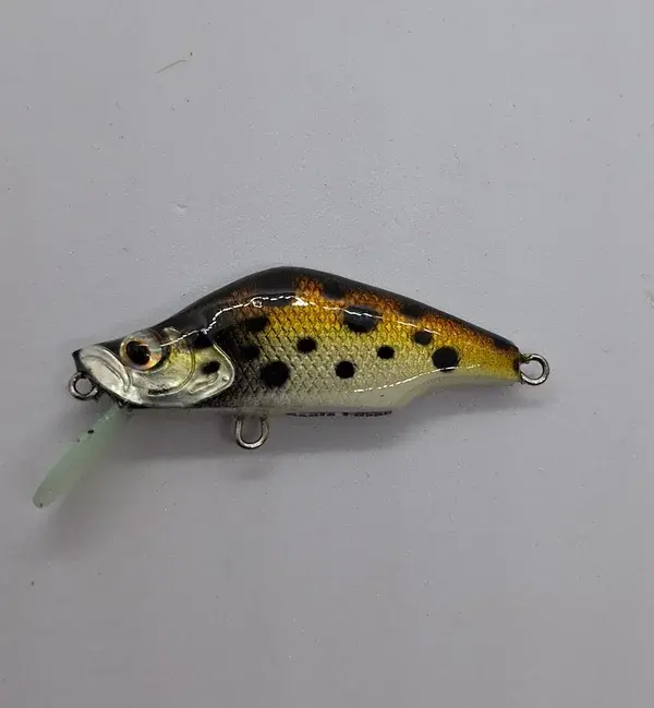20240716_180930-panic-lures-high.webp