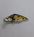 20240716_180930-panic-lures-high.webp