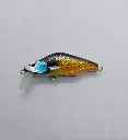 20240716_180658-panic-lures-high.webp