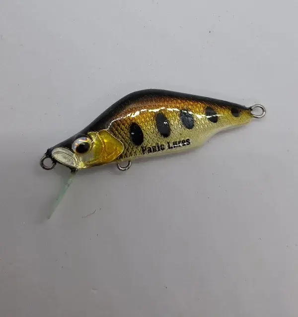 20240716_180851-panic-lures-high.webp