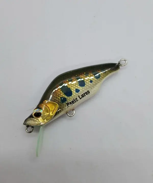 20240716_180827-panic-lures-high.webp
