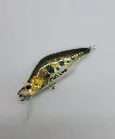 20240716_180827-panic-lures-high.webp