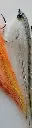 streamer_minnow-jpg-fabrizio-mapelli-high.webp