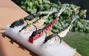 beadchain-swimmers-_minnow-iridea-jpg-fabrizio-mapelli-high.webp