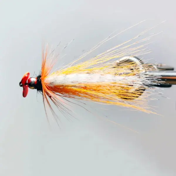 attractor-1-michele-marmentini-ideolab-high.webp