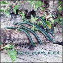 wacky-worm-verde-high.webp