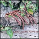 wacky-worm-marrone-high.webp