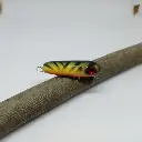 wtd40_firetiger-high.webp