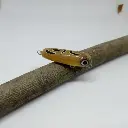 wtd40_brownfrog-high.webp