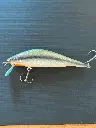 vairone100.webp