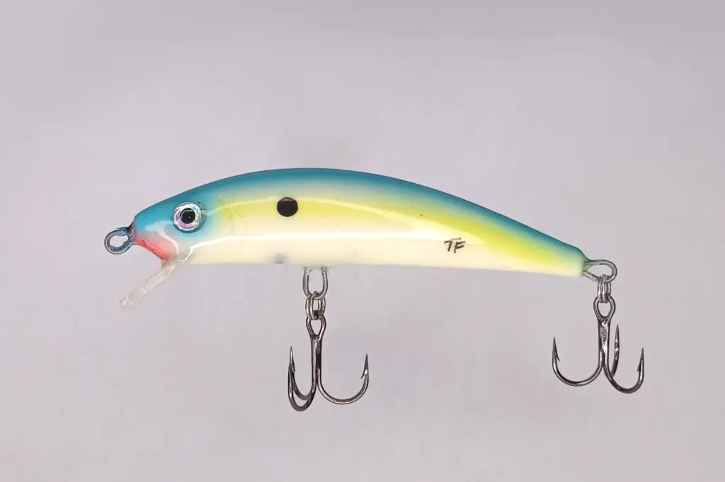 REBELOT 86S _ BLU FISH - mattia carchen.webp