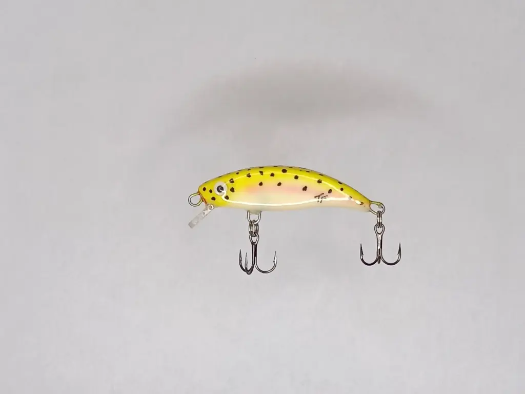 STINKY 56s_ YELLOW TROUT - mattia carchen.webp
