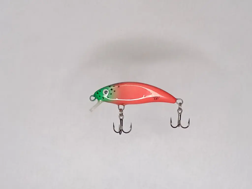 STINKY 56s_ RED SALMON - mattia carchen.webp