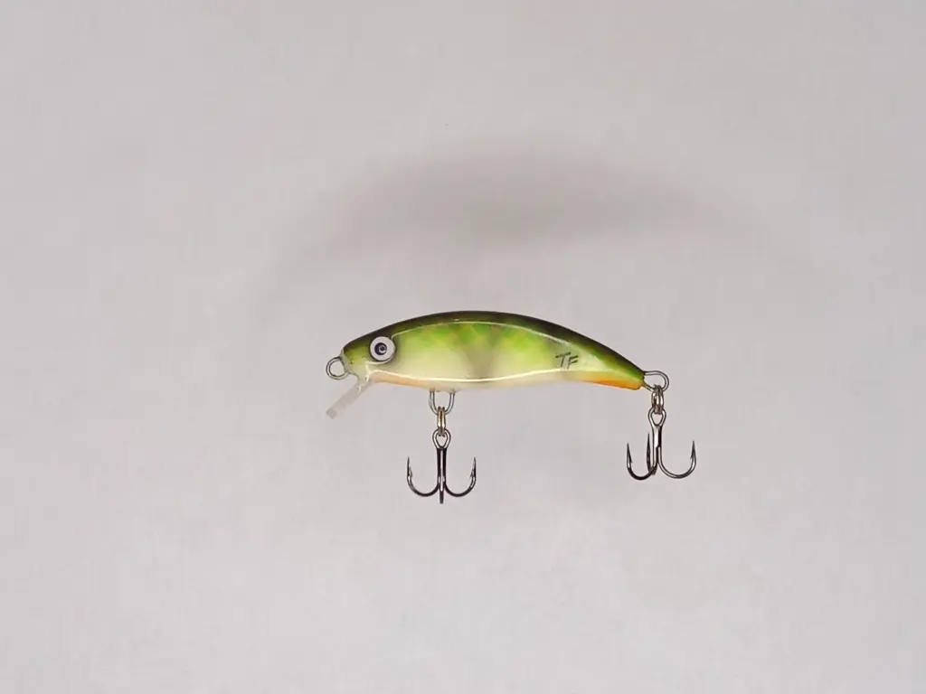 STINKY 56s_ ROYAL PERCH - mattia carchen.webp